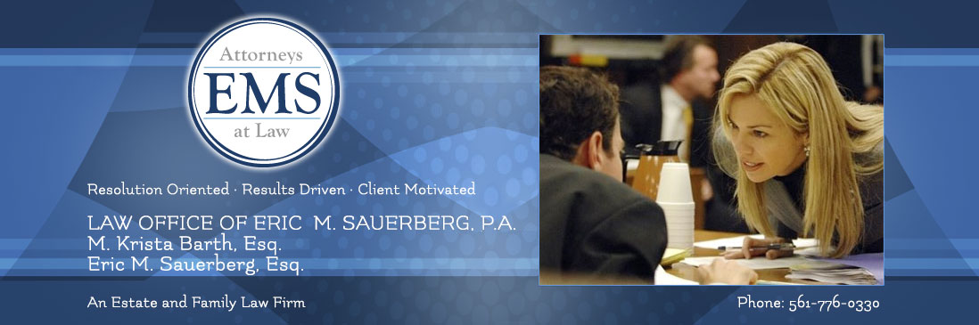 Law Offices of Eric Sauerberg, P.A.